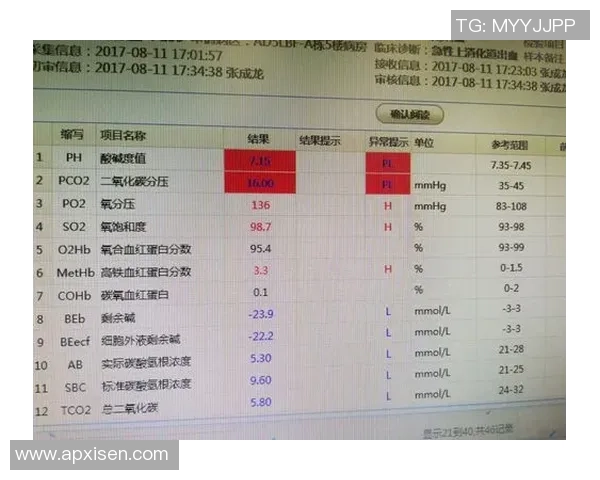 武汉篮球队在钻石联赛中的比赛经验与表现分析